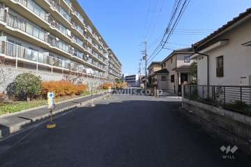 敷地南側の前面道路(西側から)