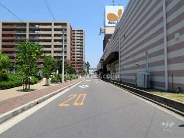 敷地東側の前面道路