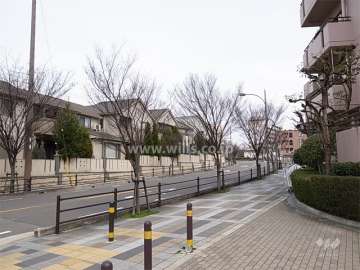 敷地北側は、街路樹のきれいなバス通りに面しています。
