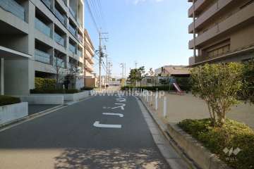 敷地南側の前面道路