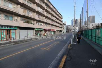 敷地南側の前面道路(西側から)