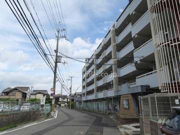 敷地北側の前面道路。
