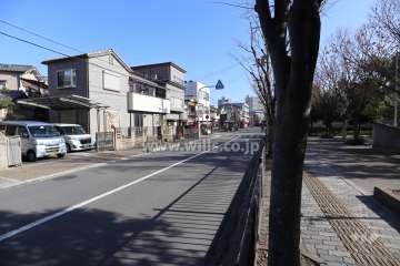 敷地北東側の前面道路(北西側から)