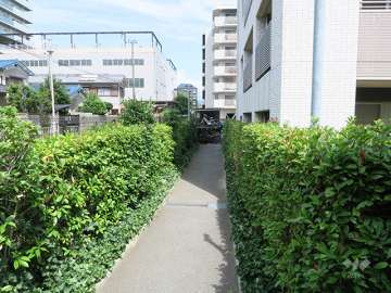 駐輪場へのアプローチ