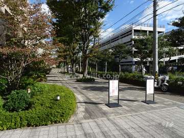 道路沿いには広い歩道が設けられています。