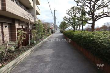 敷地西側の前面道路（北側から）