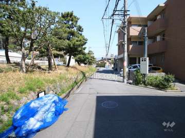 敷地西側の前面道路（南側から）