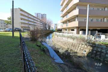 敷地の南側には水路があります。
