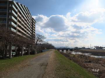 芥川沿いの道はジョギング、お散歩コースにぴったりの場所