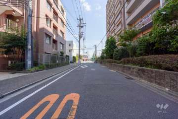敷地西側の前面道路（北側から）