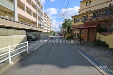 敷地南側の前面道路(西側から)