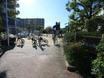 敷地に隣接する南大樋公園（北から）