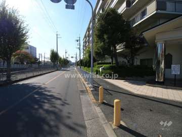 敷地東側の前面道路（北から）