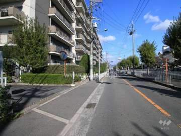 敷地東側の前面道路（南から）