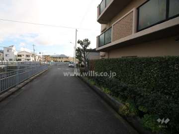 敷地北側の前面道路（西側から）