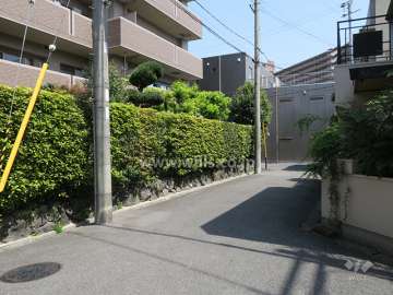 敷地南側の前面道路（西側から）