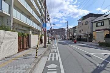 敷地南側の前面道路(西側から)