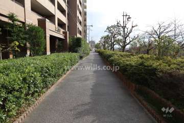 敷地西側の前面道路（北側から）