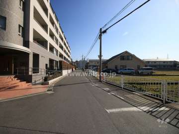 敷地南側の前面道路（西側から）