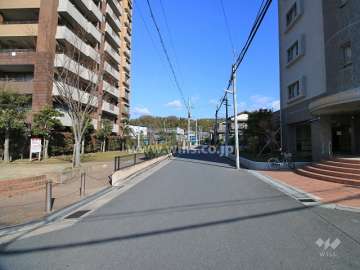 敷地西側の前面道路（南側から）