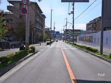 敷地の東側前面道路