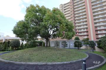 敷地内の広場（くすのき庭園）