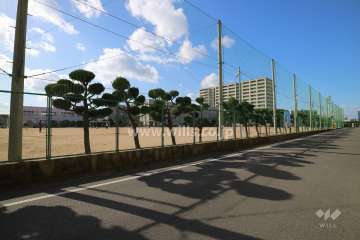 南側前面道路を挟んで『市立松原小学校』があります。