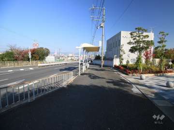 敷地西側の前面道路（南側から）