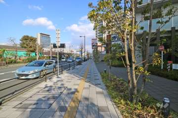 敷地北側の前面道路