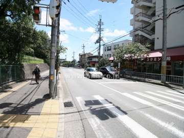敷地北側の前面道路（西側から）
