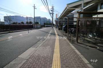 敷地南側の前面道路