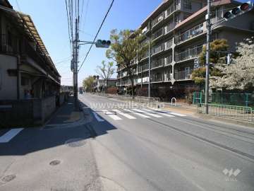 敷地東側の前面道路（北側から）