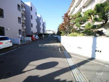 敷地北側の前面道路（東側から）