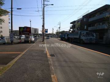 敷地西側の前面道路(北から）