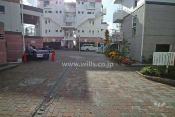 敷地西側の前面道路