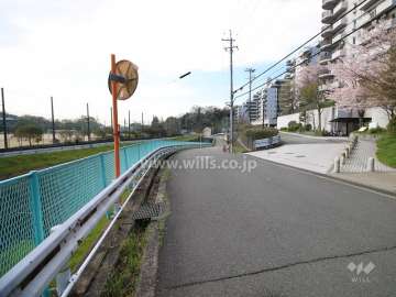 敷地東側の前面道路（北側から）
