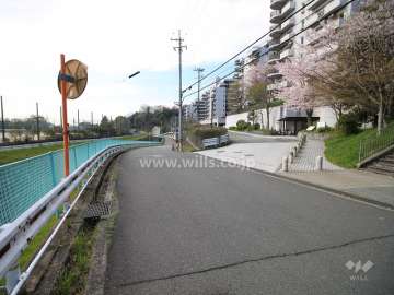 敷地東側の前面道路（北側から）