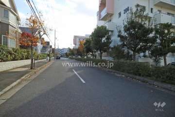 敷地東側の前面道路