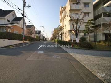 敷地西側の前面道路（北側から）