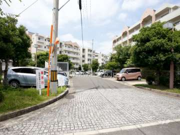 205号棟の南側、敷地内の通路