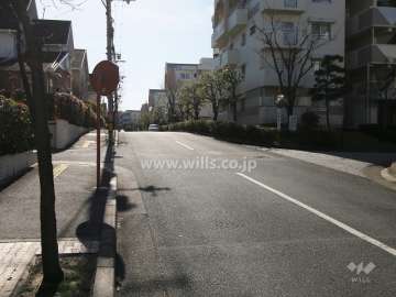 敷地東側の前面道路（北側から）