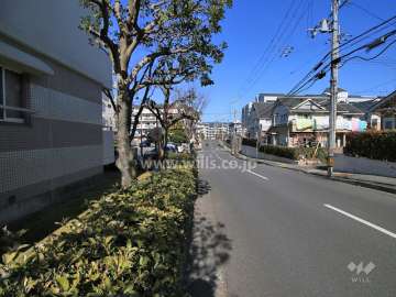 敷地東側の前面道路（南側から）