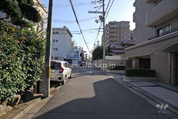 敷地東側の前面道路(北側から)