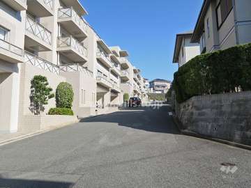 敷地南側の前面道路