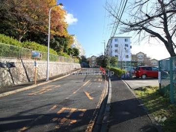敷地北側の前面道路（西側から）