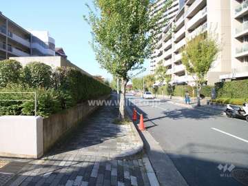 敷地北側の前面道路（東側から）