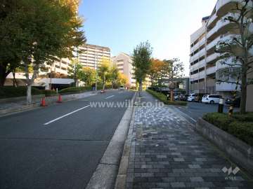敷地北側の前面道路（西側から)