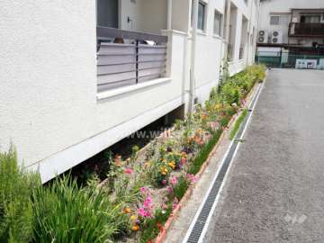 建物南側には花壇が設けられています。