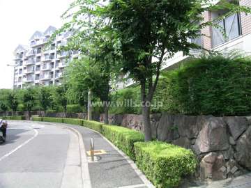 2号棟の前面道路。街路樹がきれいです。