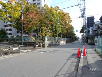 敷地西側の前面道路